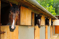 free Thornhaugh stable construction quotes